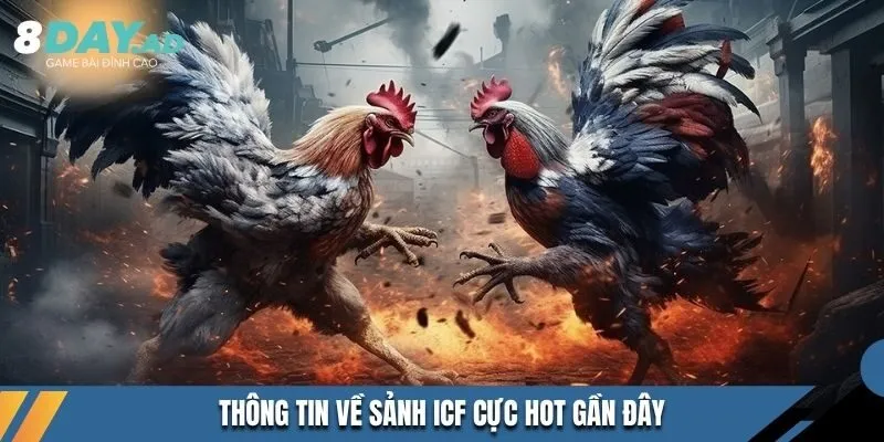 Thông tin về sảnh ICF cực hot gần đây 